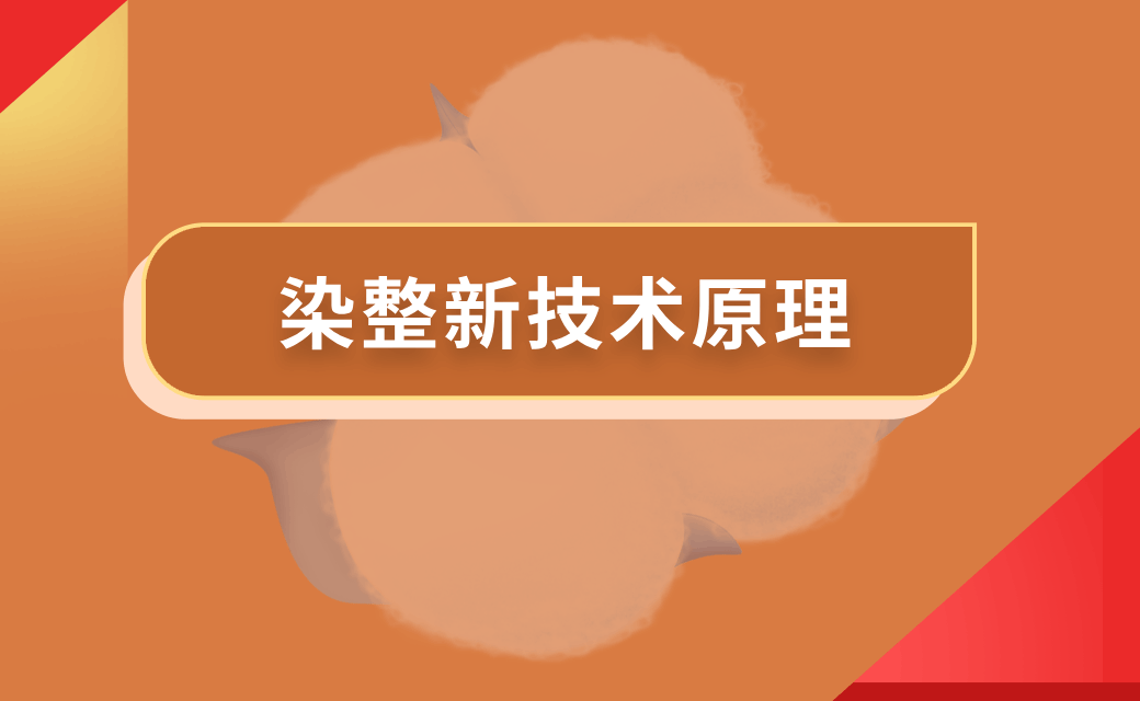 染整新技术原理